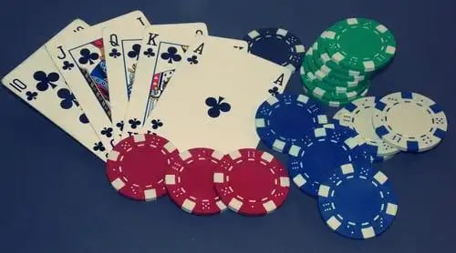 4499bet